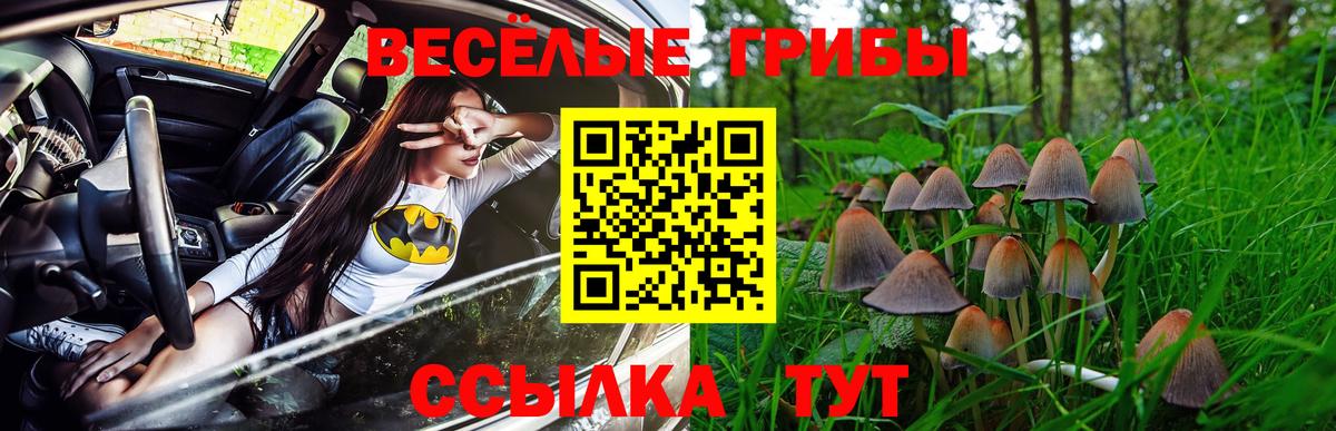 Великий Устюг  Псилоцибиновые грибы Psilocybine cubensis  Псилоцибиновые грибы GOLDEN TEACHER  Вход с VPN 