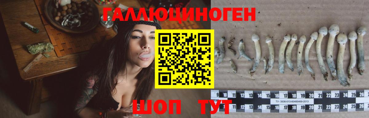 Псилоцибиновые грибы GOLDEN TEACHER Великий Устюг